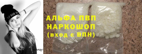 стаф Новокубанск