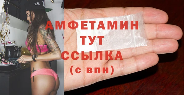 стаф Новокубанск