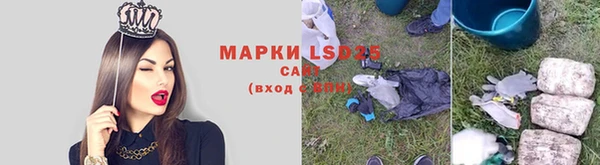 стаф Новокубанск
