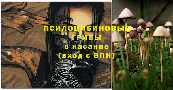 гидра Новодвинск