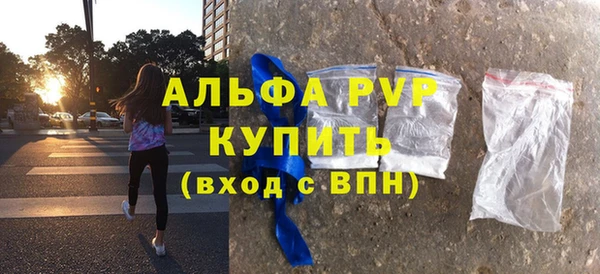 гидра Новодвинск