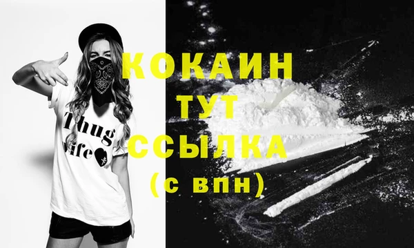 гидра Новодвинск