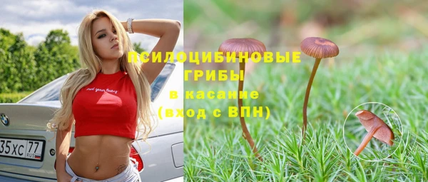 МДМА Новозыбков