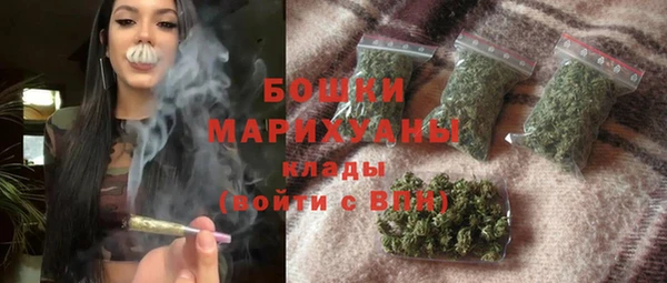 стаф Новокубанск