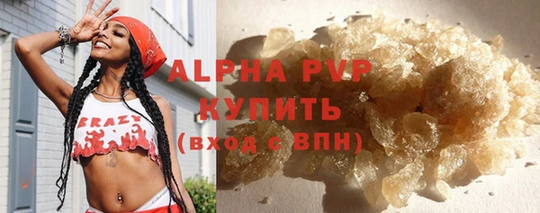 гидра Новодвинск