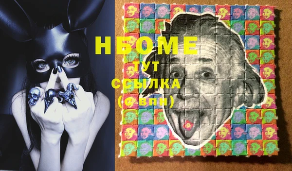 стаф Новокубанск