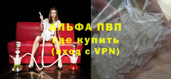 стаф Новокубанск