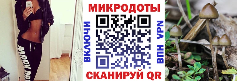 МЕГА ссылки закладка Ангарск Галлюциногенные грибы мухоморы